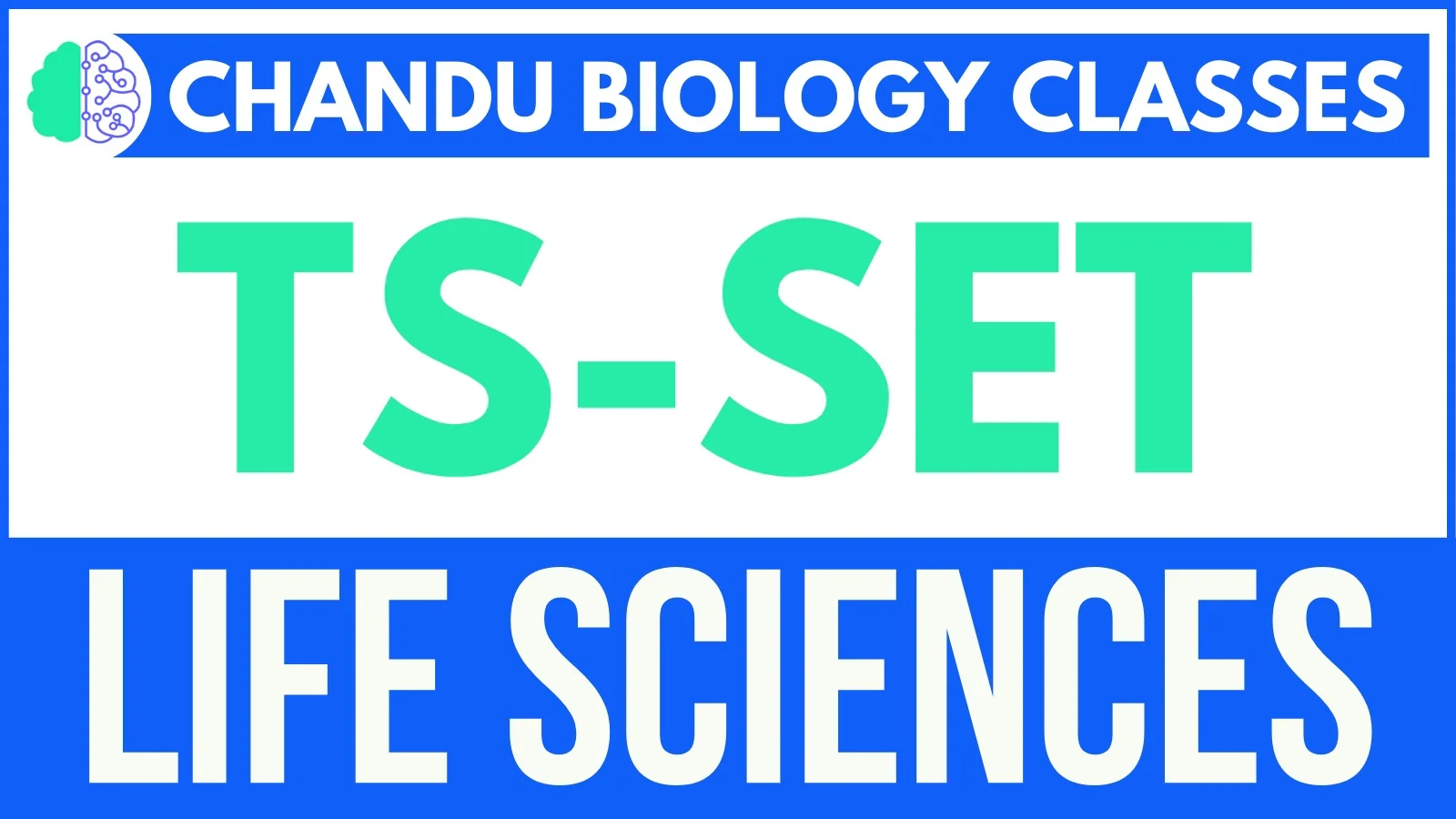 TS SET Cutoff Marks 2025: Category-Wise Expected & Previous Year Cut Off Analysis